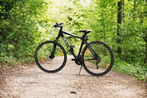 cykel_skov